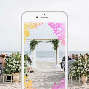 WeddingWire-Snapchat-Geofilters-for-Weddings-645x645