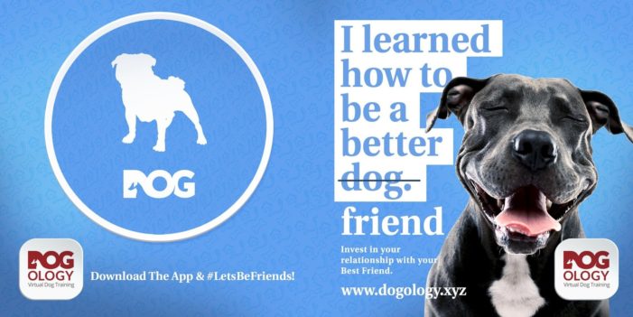 Dogology promotes digital dog training with AR out-of-home campaign