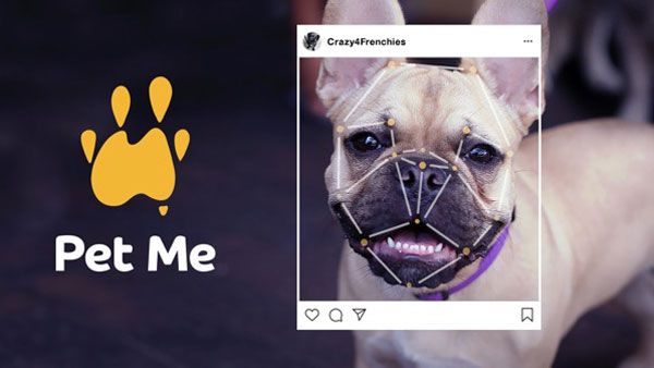 PetRescue launches dog obsessed AI via DDB Sydney to help pets get adopted across Australia